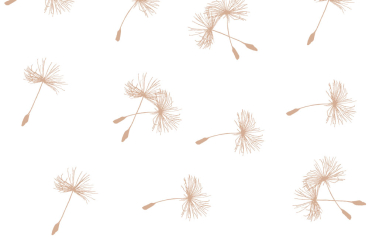 Voile-Stoff - Pusteblume Beige