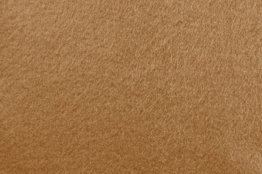Filz-Stoff 3 mm stark - 100 cm Hellbraun
