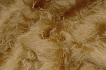 Langhaarfell 40 mm hoch - Uni Beige