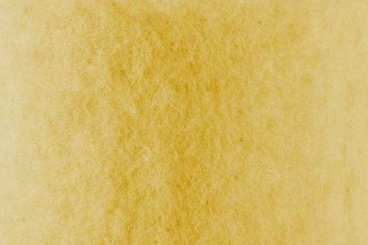 Wollfilz 5/6 mm stark - 65 cm Gelb