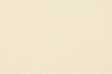 Filz Meterware - 4 mm stark - 45 cm Champagner