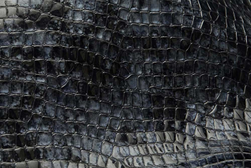 Kalbsleder Deluxe - Crocodile - Schwarzblau 