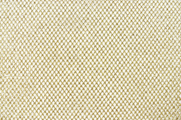 Gittertüll Metallic - Gold 