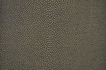 skai® Soshagro EN - Kunstleder - Manta Taupe