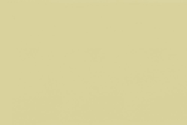 PVC Plane Meterware 400 g - 218 cm - Glanz Beige