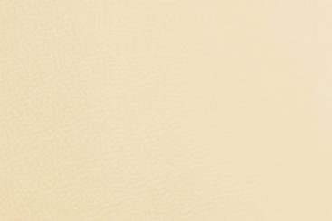 Polsterkunstleder deluxe - 140 cm breit Champagner