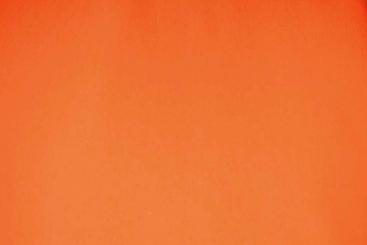 Fotohintergrund 275 x 700 cm - ohne Naht Orange