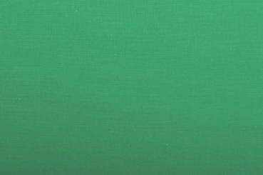 Fotohintergrund 275 x 700 cm - ohne Naht Green Screen