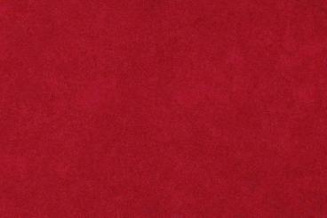 Rot