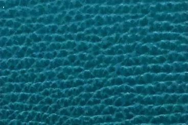 Petrol