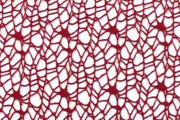 Voile Lace - Bordeaux 