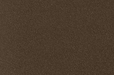 Dark Roast