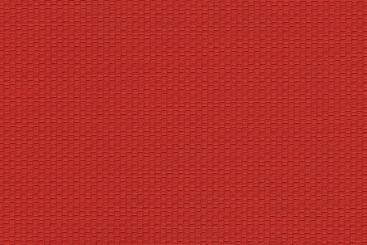 Rot