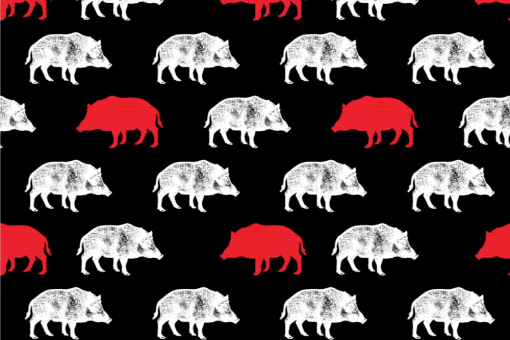 Kuschel-Fleece - Wildschweine 