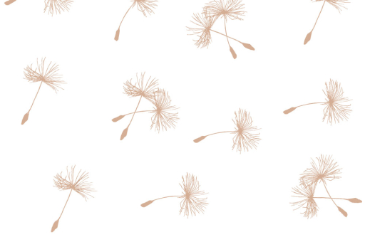 Voile-Stoff - Pusteblume Beige