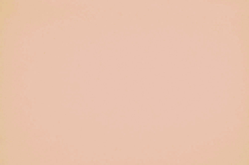 Moosgummi - Meterweise Beige