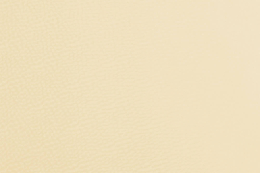 Kunstleder deluxe Champagner