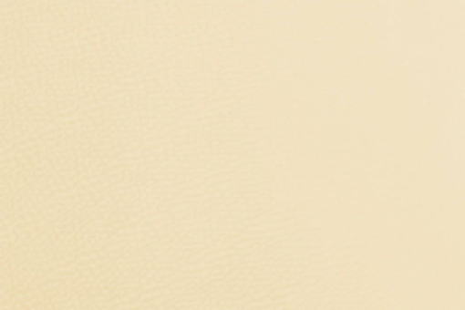 Polsterkunstleder deluxe - 140 cm breit Champagner