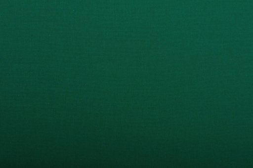 Fotohintergrund - 240 cm breit Grün