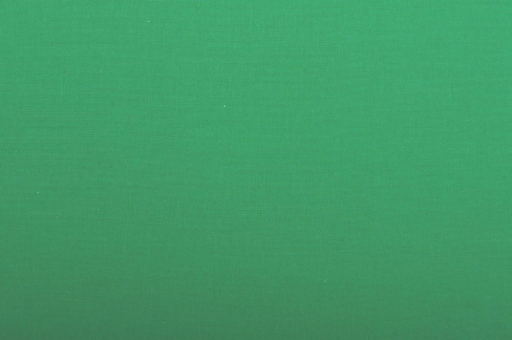 Fotohintergrund - 275 cm Breite Green Screen