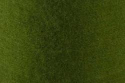Wollfilz 5/6 mm stark - 65 cm Grün
