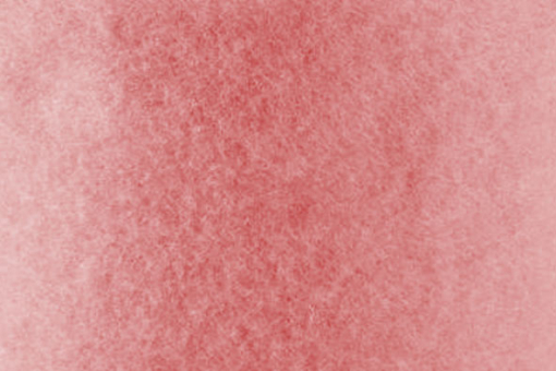 Wollfilz 5/6 mm stark - 65 cm Rosa