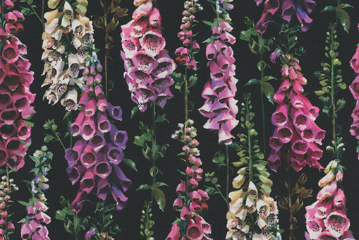 Dekostoff - Digitalis 