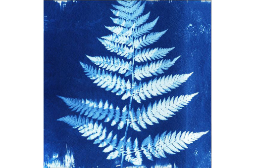 Samt-Panel Deluxe - Blaues Farn 