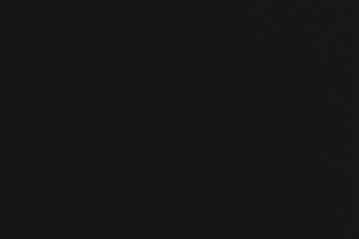 Türvorhangstoff Arktis - Schwarz - 1,0 Meter Schwarz