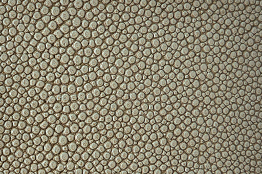 skai® Soshagro EN - Kunstleder - Manta Dunkelbeige