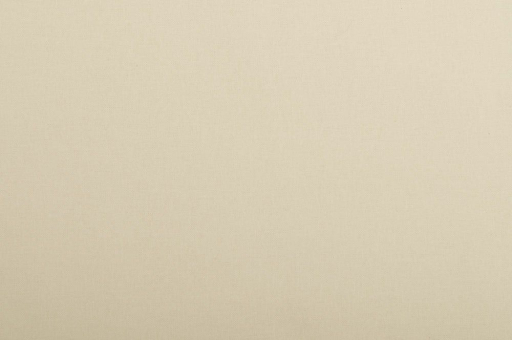 Fotohintergrund 275 cm - Natur - 1,0 Meter Natur