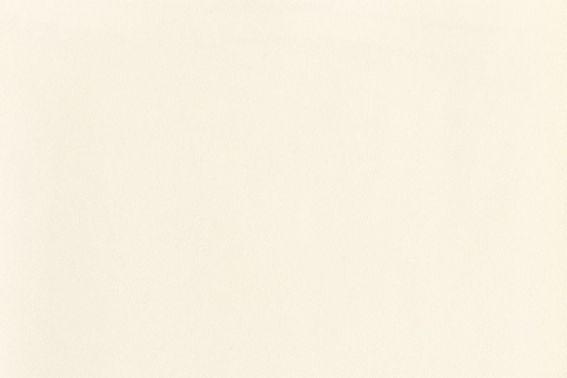 Stretch Leder - Soft Touch Champagner