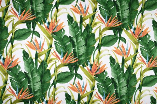 Dekostoff Baumwolle - Jungle Feeling - 280 cm 