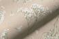 morepic-1