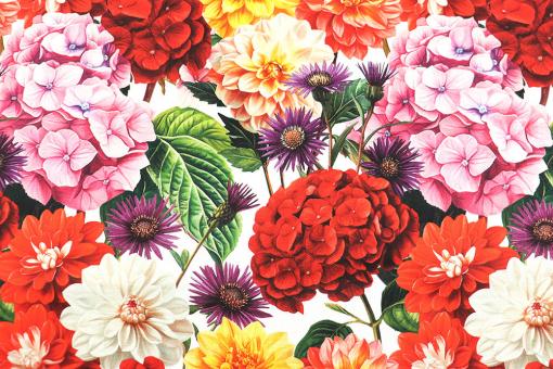 Dekostoff Deluxe - Flores 