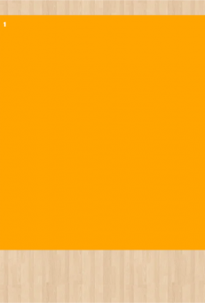 Stoff-Zuschnitt 555421 
