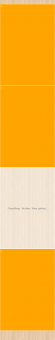Stoff-Zuschnitt 556686 