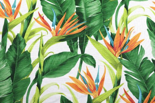 Dekostoff Baumwolle - Jungle Feeling - 280 cm 