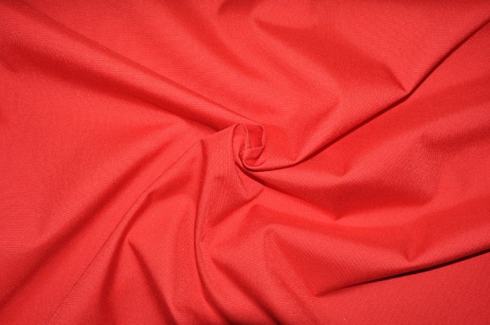 Rot