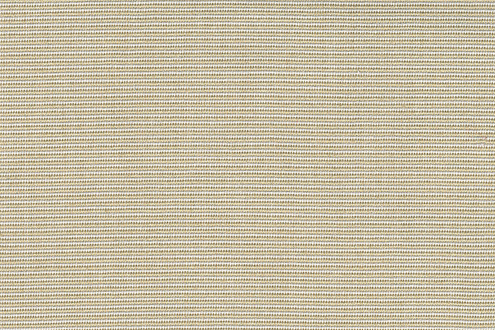Champagner/Creme